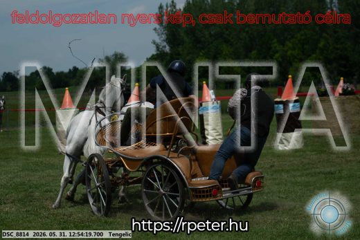 Mintakép 20260531-2420