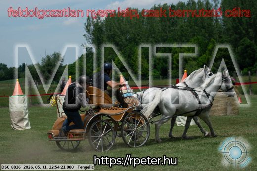 Mintakép 20260531-2422