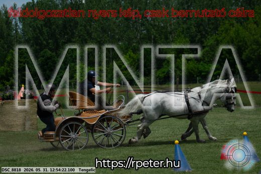 Mintakép 20260531-2424