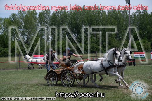 Mintakép 20260531-2425