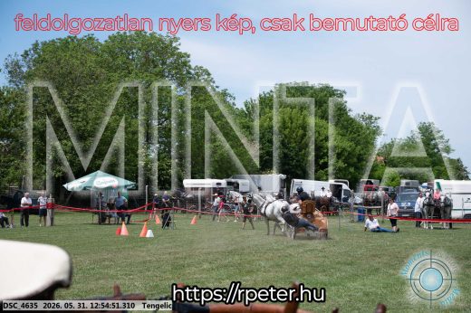 Mintakép 20260531-2438