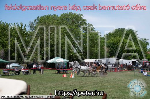 Mintakép 20260531-2440