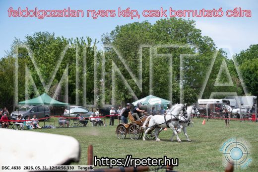 Mintakép 20260531-2442
