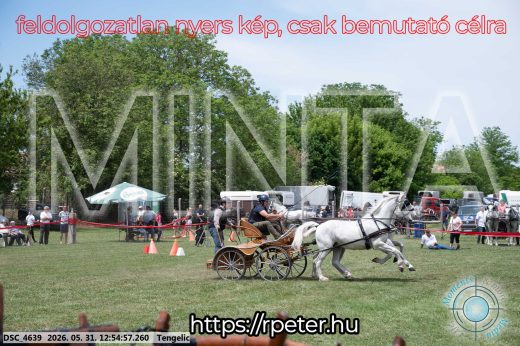Mintakép 20260531-2443