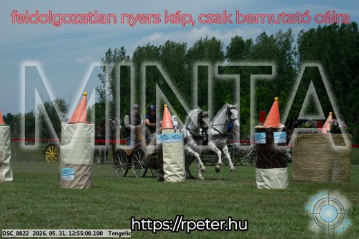 Mintakép 20260531-2444