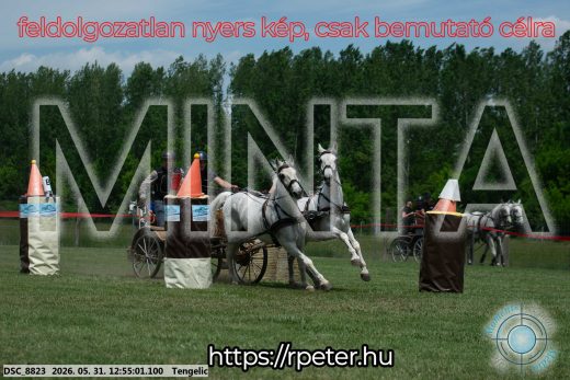 Mintakép 20260531-2445