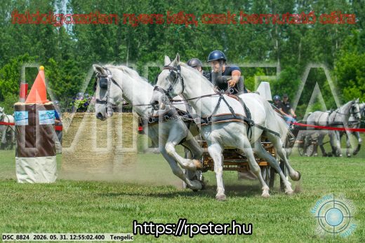 Mintakép 20260531-2446