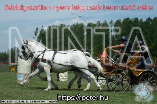 Mintakép 20260531-2447