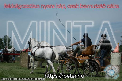Mintakép 20260531-2448