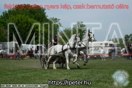 Mintakép 20260531-2450