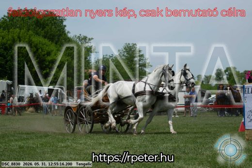 Mintakép 20260531-2451