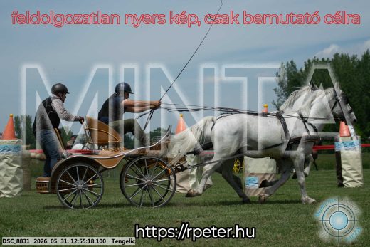 Mintakép 20260531-2452