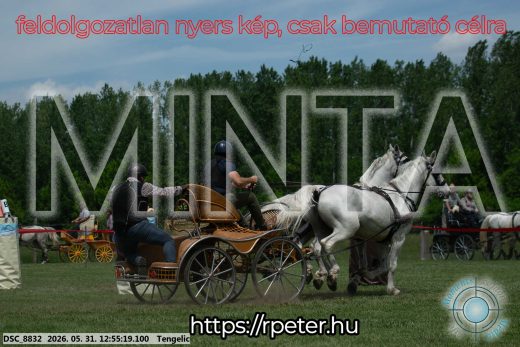 Mintakép 20260531-2453