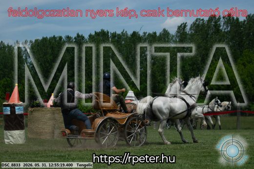 Mintakép 20260531-2454