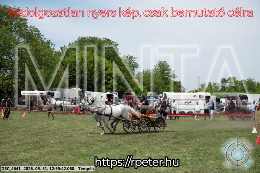Mintakép 20260531-2457