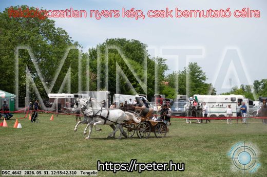 Mintakép 20260531-2458