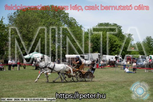 Mintakép 20260531-2460
