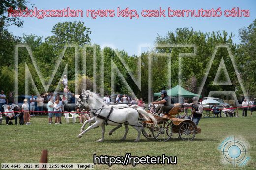 Mintakép 20260531-2461