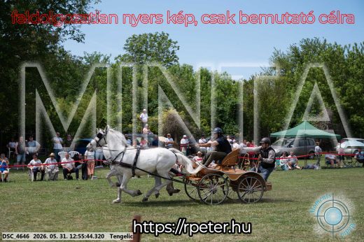 Mintakép 20260531-2462