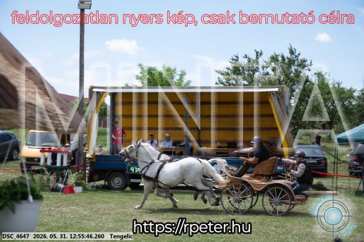 Mintakép 20260531-2463