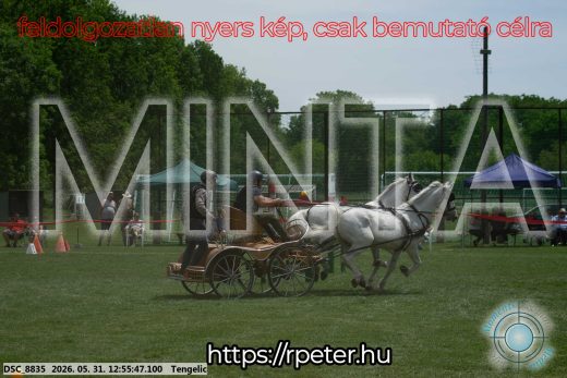 Mintakép 20260531-2464