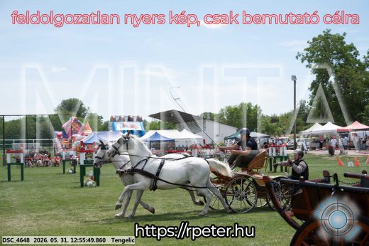 Mintakép 20260531-2467