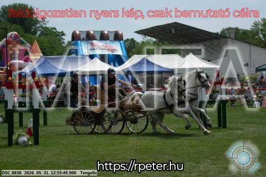 Mintakép 20260531-2468