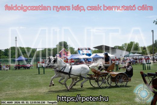 Mintakép 20260531-2469
