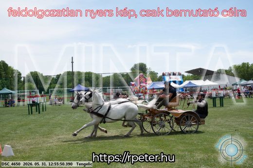 Mintakép 20260531-2470