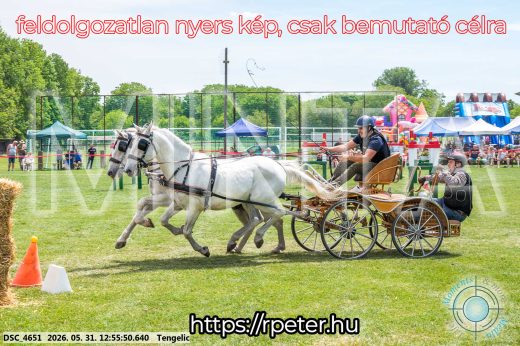 Mintakép 20260531-2471