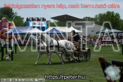 Mintakép 20260531-2472