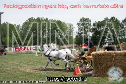 Mintakép 20260531-2473