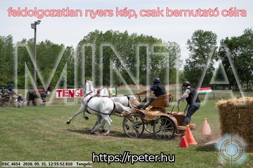 Mintakép 20260531-2474
