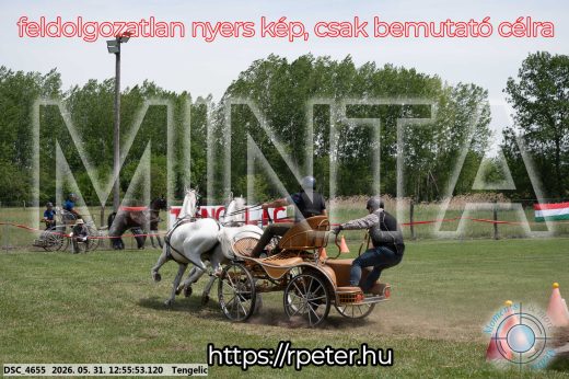 Mintakép 20260531-2475