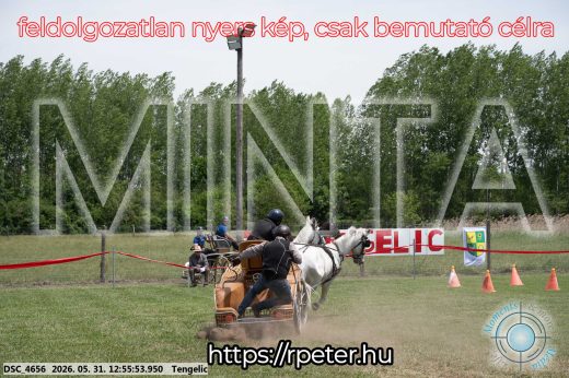 Mintakép 20260531-2476