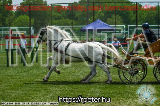 Mintakép 20260531-2477