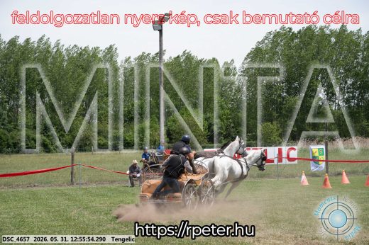 Mintakép 20260531-2478