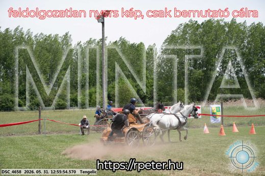 Mintakép 20260531-2479