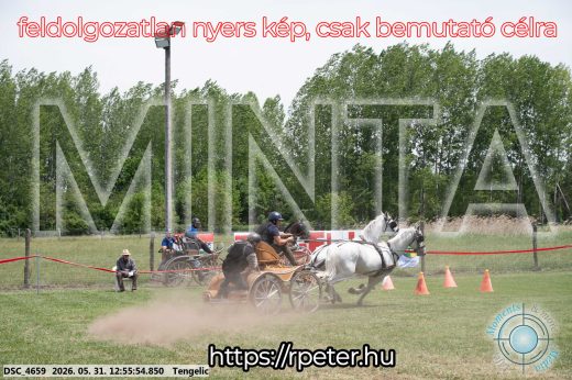 Mintakép 20260531-2480