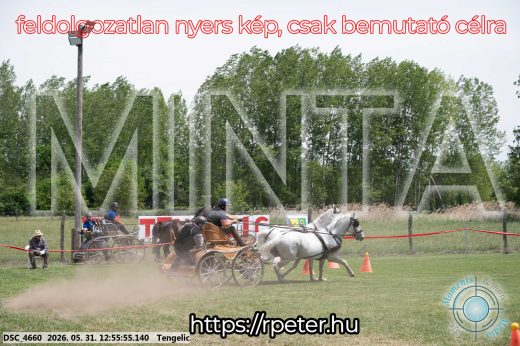 Mintakép 20260531-2481
