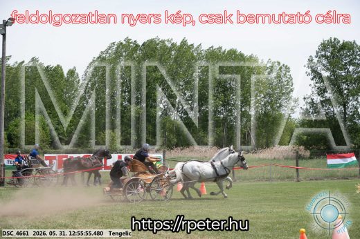 Mintakép 20260531-2482
