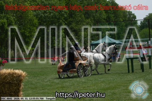 Mintakép 20260531-2483