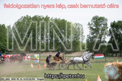 Mintakép 20260531-2484