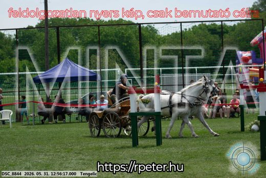 Mintakép 20260531-2487
