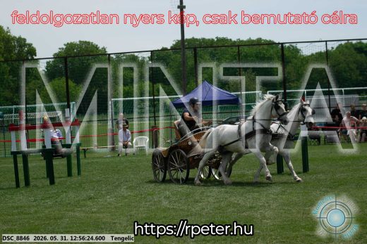 Mintakép 20260531-2489