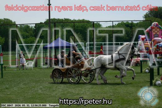Mintakép 20260531-2490
