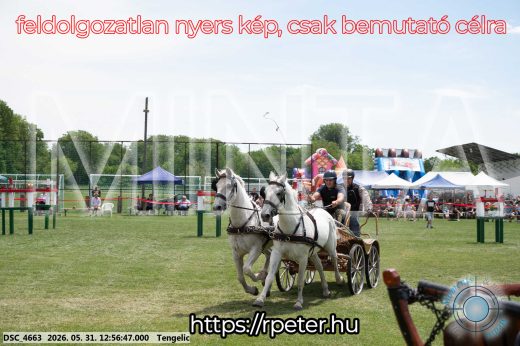 Mintakép 20260531-2491