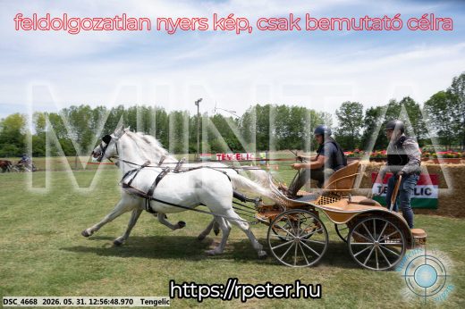 Mintakép 20260531-2496