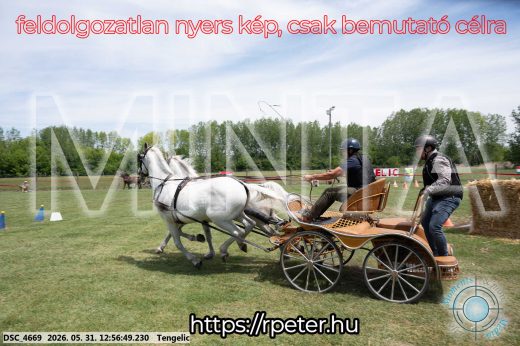 Mintakép 20260531-2497