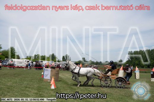 Mintakép 20260531-2499
